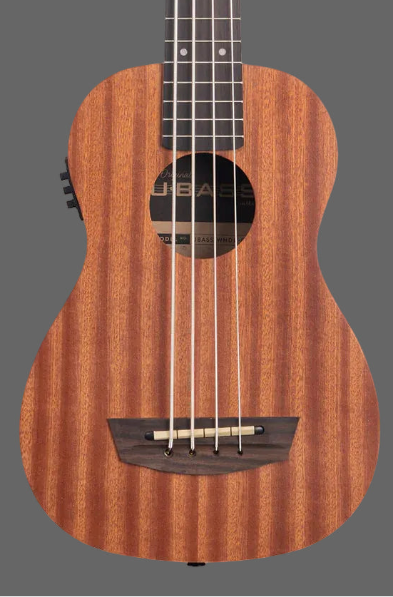 The Pied Piper Music Store