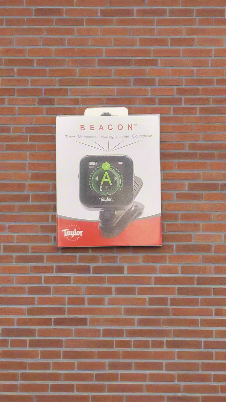 The Pied Piper Music Store