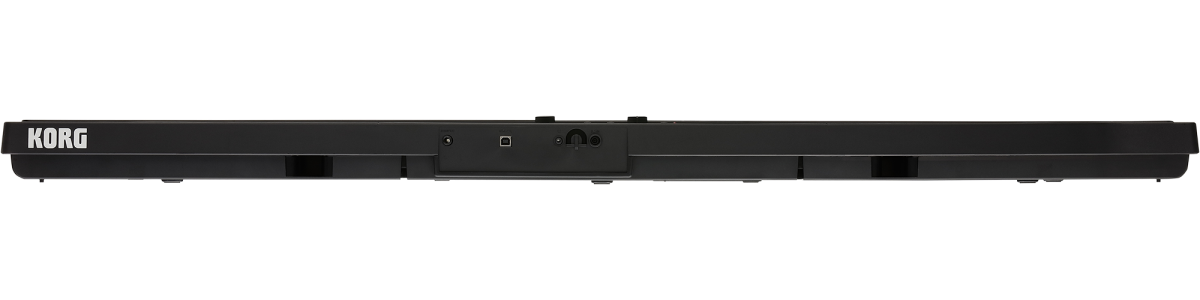 Image of KORG Liano 88 Key Digital Piano L1