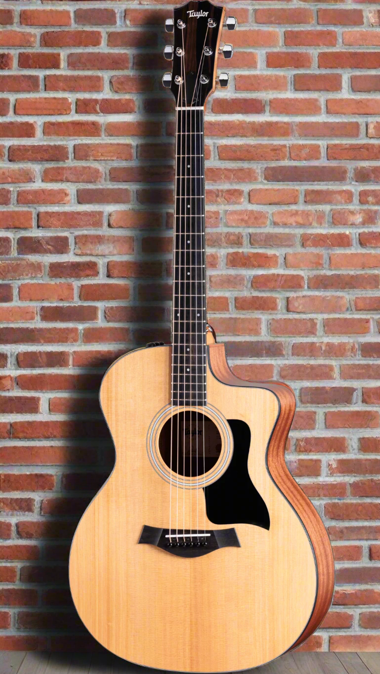 Image of TAYLOR 114ce Includes Gig Bag