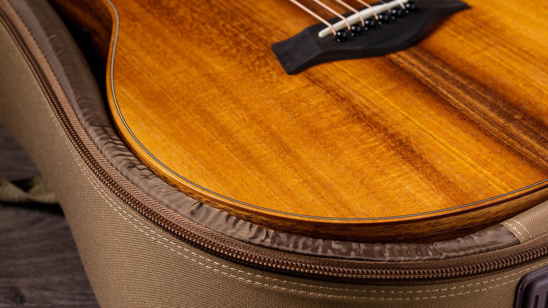 Image of TAYLOR GS Mini-e Koa